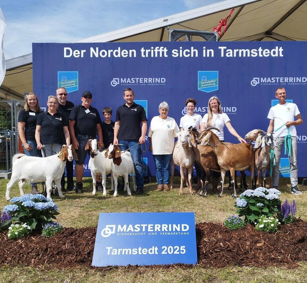 masterrind